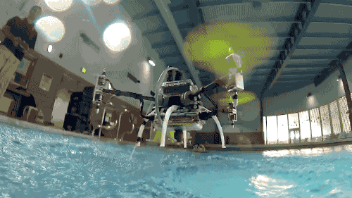 ... Drone Flies...