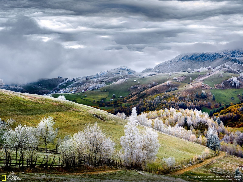 Photo and caption by Eduard Gutescu Romania, land of fairy tales. White frost over Pestera village.