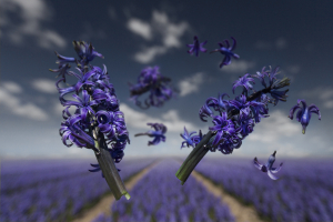 Gravity series: Flower Power