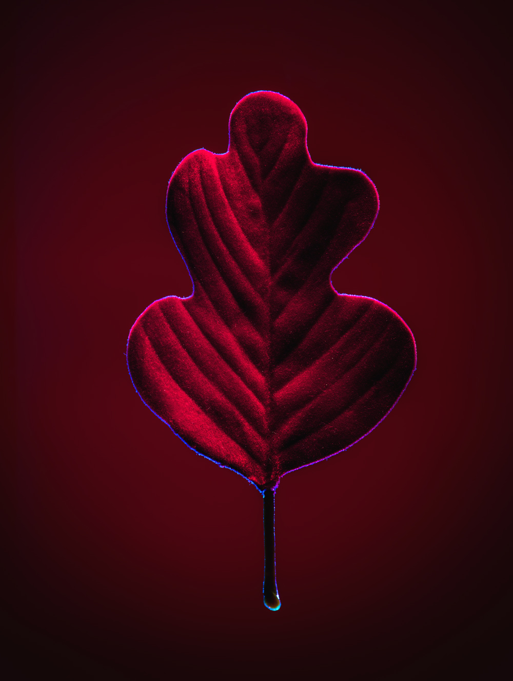 Photo by Andrius Solominas