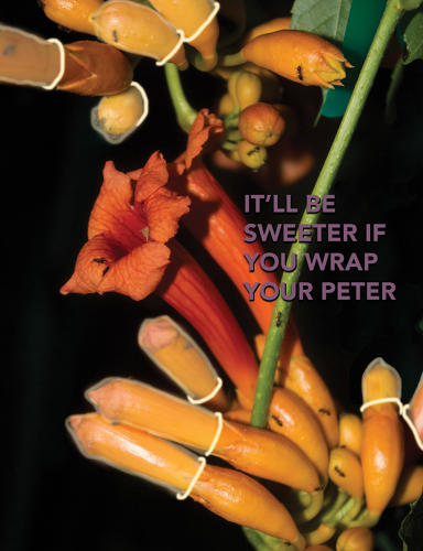Contraceptive Ads: Melissa Clara Pokorny